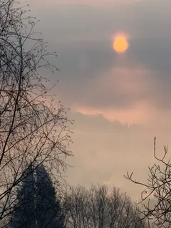 Фото к отзыву