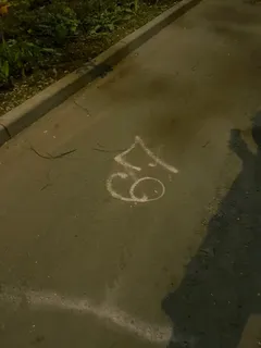 Фото к отзыву